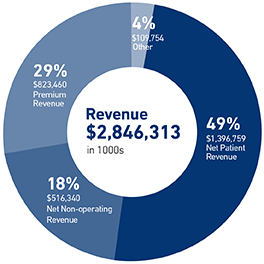 2022 revenue chart