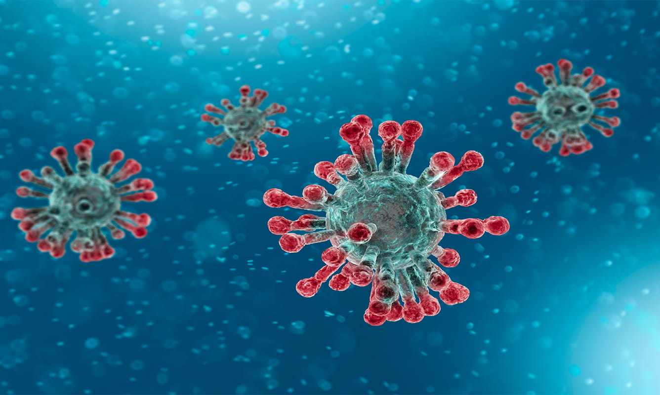 photo of the novel coronavirus