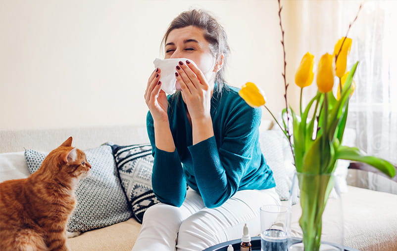 A woman sneezes into a tissue, sitting on a couch next to a cat and some flowers