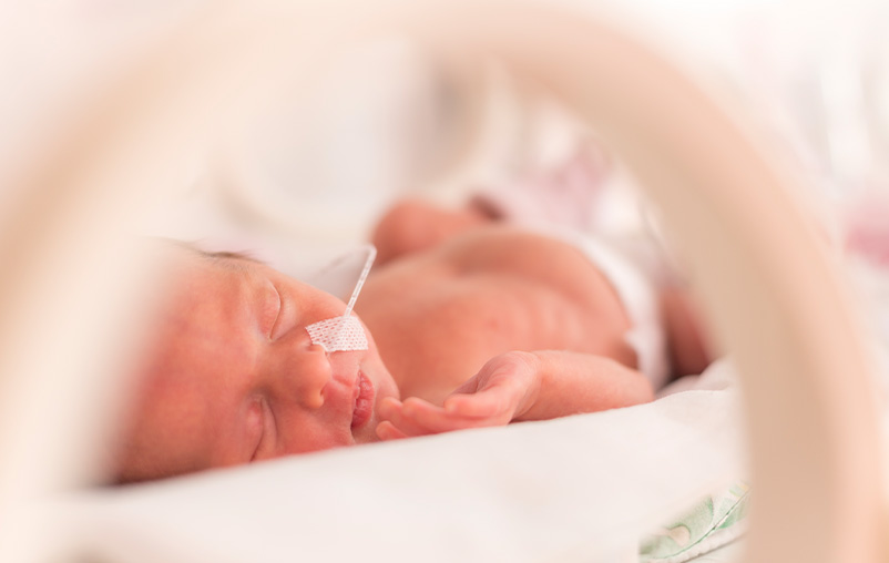 Premature baby in an incubator.