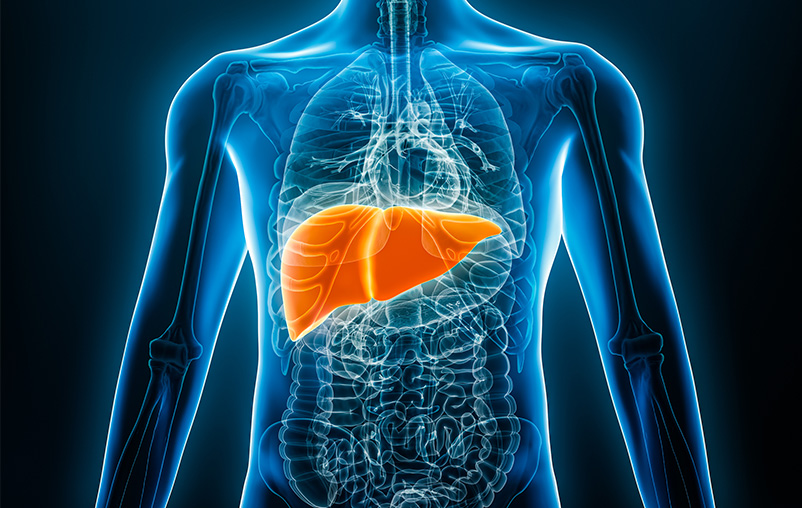 Hepatitis C Screening Keeps Your Liver Healthy | HealthFocus SA ...