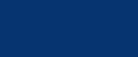 Flagship color for University Health