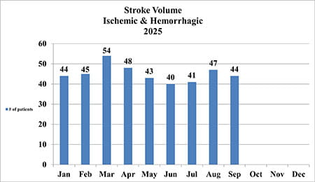 Chart of Stroke patient volume for 2025.