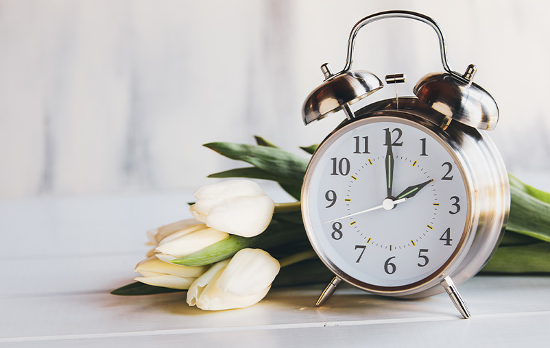 An alarm clock sits on a table next to white tulips.