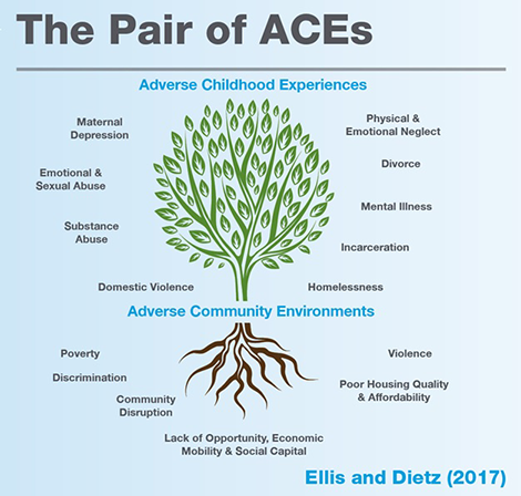 The Pair of ACEs tree. At the top of the tree is "Adverse Childhood Experiences", which include maternal depression, emotional and sexual abuse, substance abuse, domestic violence, physical and emotional neglect, divorce, mental illness, incarceration, and homelessness. The roots of the tree are "Adverse Community Environments." These include poverty, discrimination, community disruption, lack of opportunity, economic mobility, and social capital, violence, and poor housing quality and affordability. This diagram is credited to Ellis and Dietz (2017).